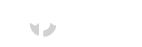 fluid